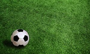 正版欧洲杯下球活动:2024年球迷必知的三大安全参与指南(正版欧洲杯下球活动)-第1张图片